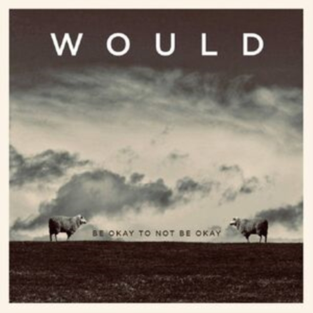 WOULD - BE OKAY TO NOT BE OKAY - LP Vinyl