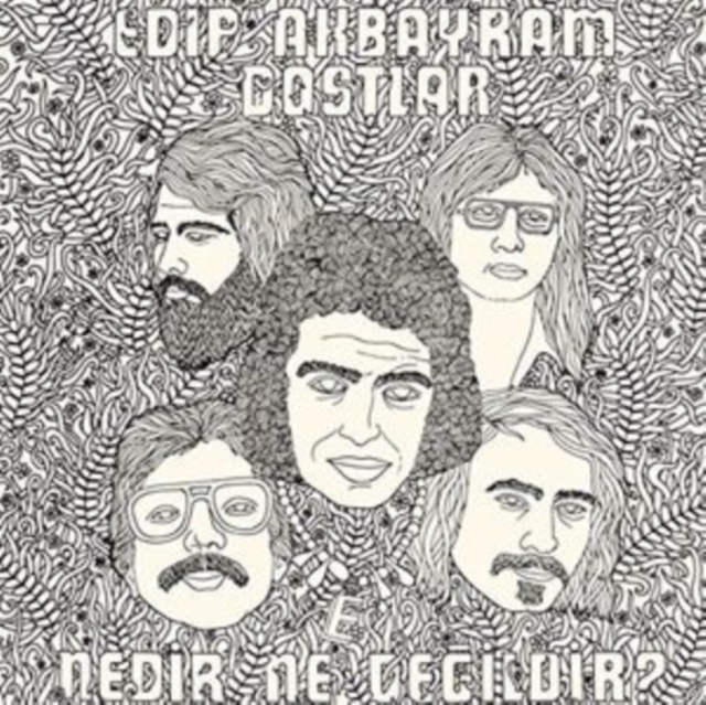 AKBAYRAM, EDIP / DOSTLAR - NEDIR NE DEGILDIR - LP Vinyl