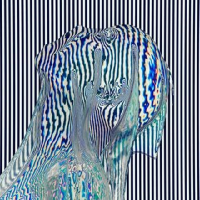 WHITESQUARE - DISCREET MOMENT THING PT. 2 - 12 Inch vinyl