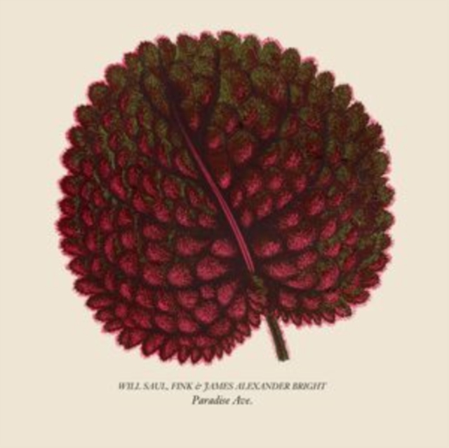 WILL; FINK & JAMES ALEXANDER BRIGHT SAUL - PARADISE AVE - 12 Inch vinyl