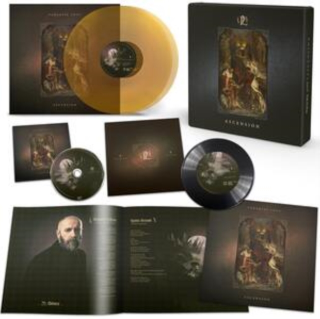 (PRE-ORDER) PARADISE LOST - ASCENSION BOX (CRYSTAL AMBER VINYL/DIGIPAK/ART PRINT/BOOKLET) - LP Vinyl