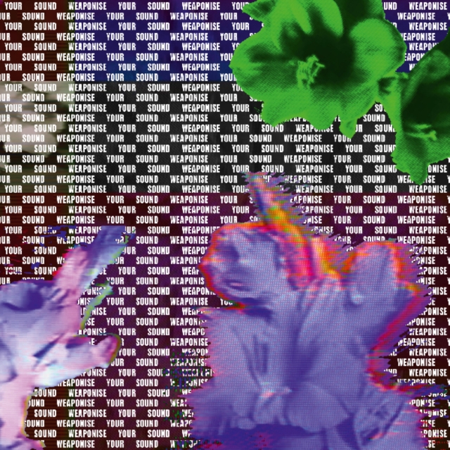 VARIOUS ARTISTS - WEAPONISE YOUR SOUND - LP Vinyl