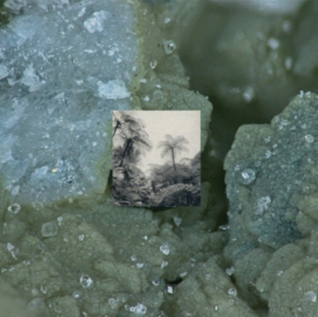 4250101403835.jpg WIDE AWAKE - ALIENATION EFFECTS - LP Vinyl