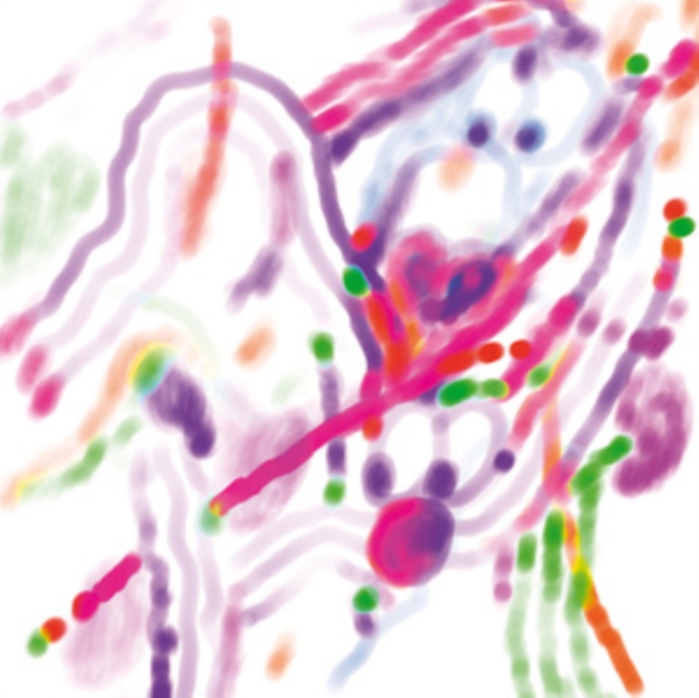 4250101436895.jpg ALEX ALBRECHT - CLEARING - 12 Inch vinyl