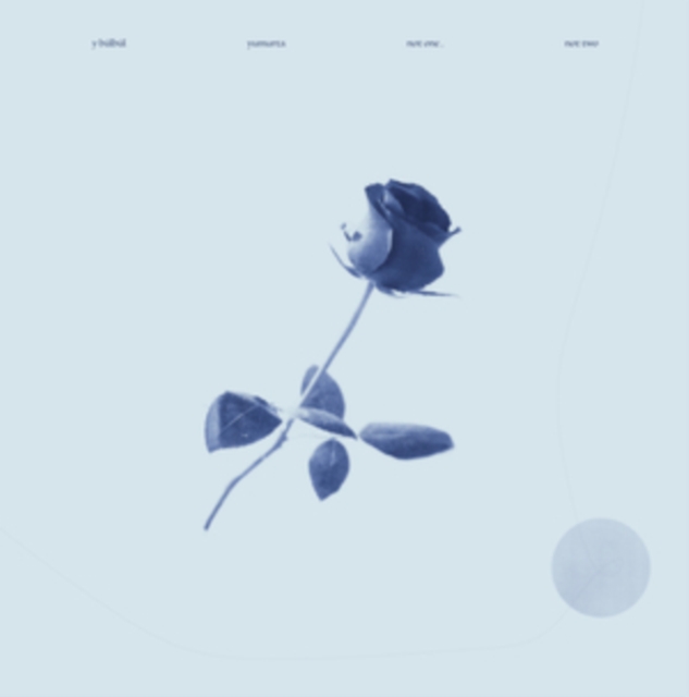 Y BULBUL/YUMURTA - NOT ONE, NOT TWO - LP Vinyl