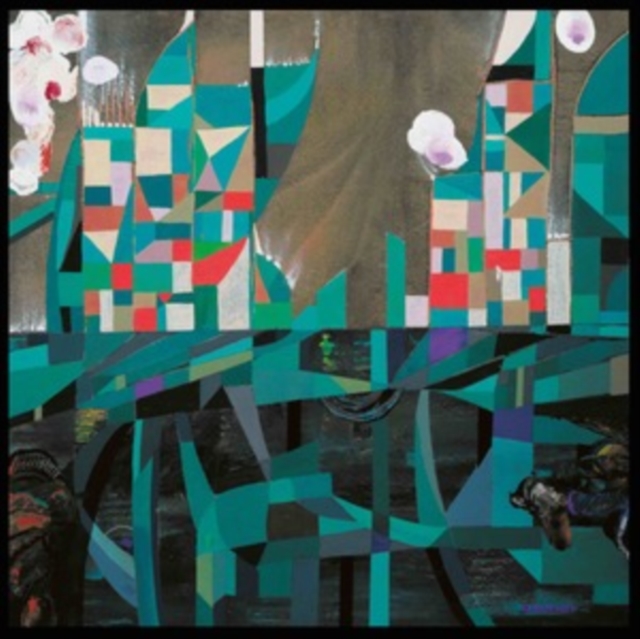 4250101479540.jpg WATA IGARASHI - AGARTHA REMIXE - 12 Inch vinyl