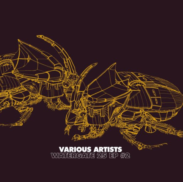 VARIOUS ARTISTS - WATERGATE 25 EP #2 - 12 Inch vinyl