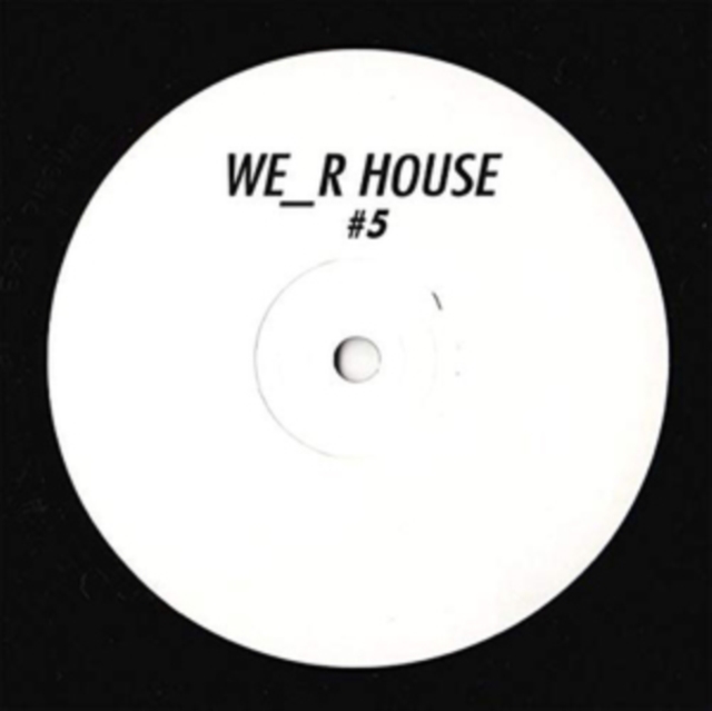 4251648412373.jpg ALESSIO VIGGIANO - WE_R_HOUSE 005 - 12 Inch vinyl
