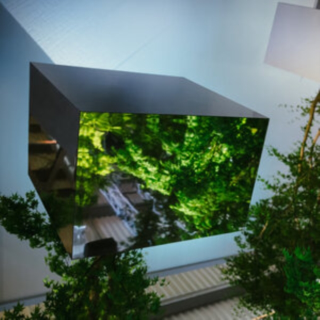 4251804124478.jpg VTSS - BORDERLINE TENDERNESS - 12 Inch vinyl