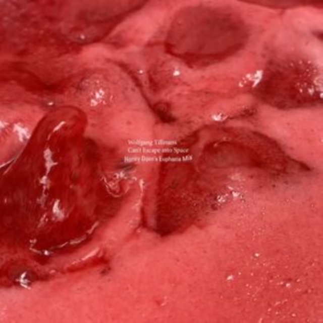 WOLFGANG TILLMANS - CAN'T ESCAPE INTO SPACE - 12 Inch vinyl