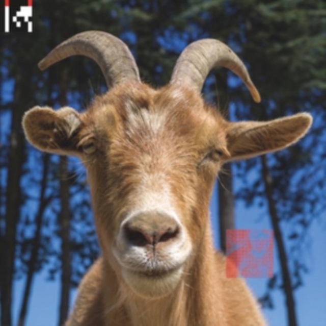 AGORIA - .DEV - LP Vinyl