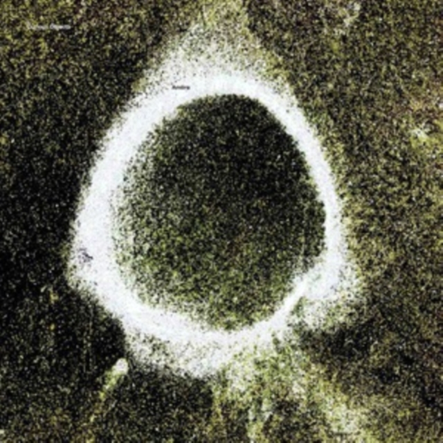 AMIIRA (KLAUS GESING, BJORN MEYER, SAMUEL ROHRER) - CURIOUS OBJECTS - LP Vinyl