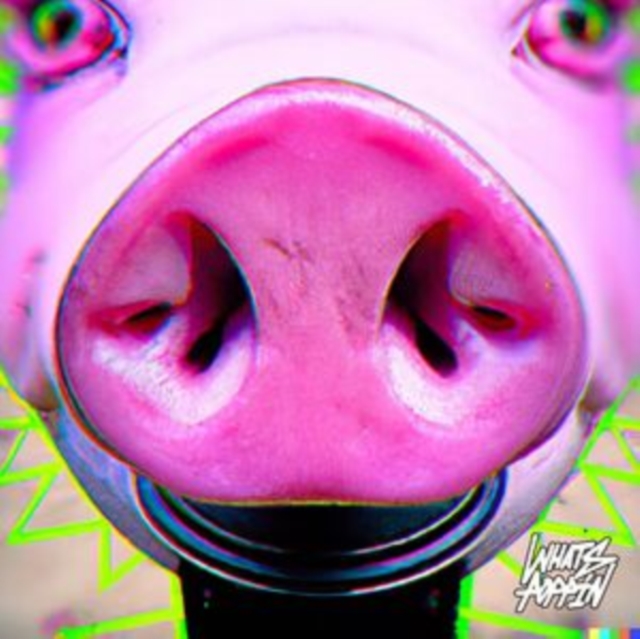 AKA AKA - LET ME SHOW YOU/TECHNO CAT - 12 Inch vinyl