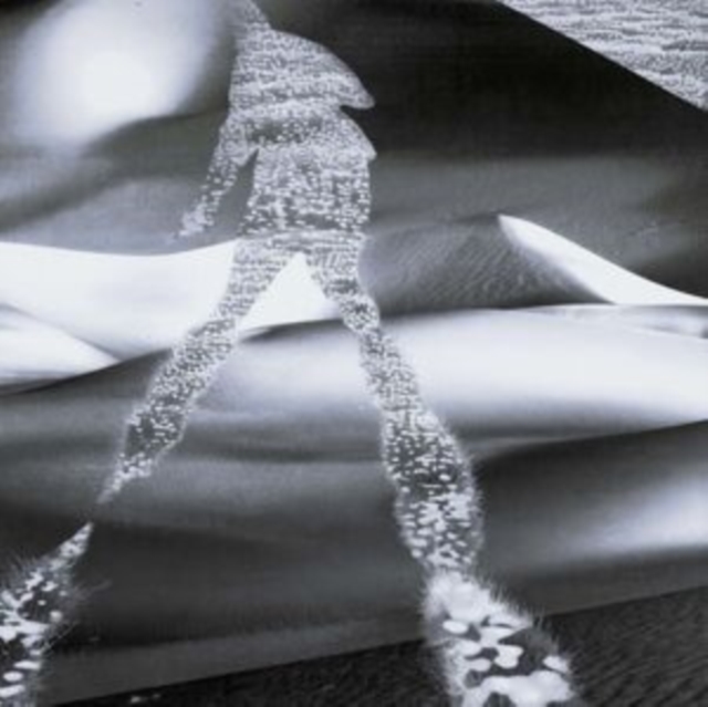 ZADEH - PSSSH 004 - 12 Inch vinyl