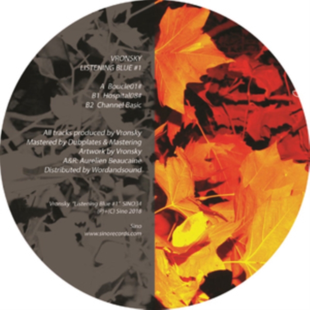 4260544824272.jpg VRONSKY - LISTENING BLUE #1 - 12 Inch vinyl