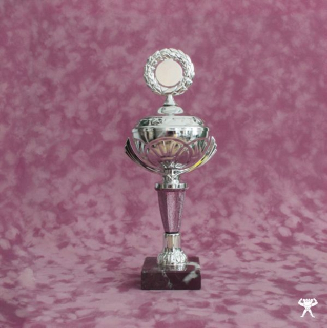 VERNER - CRASH OF THE WEB ERA - 12 Inch vinyl