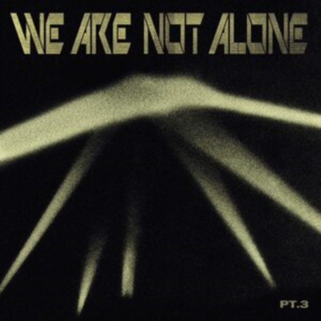 VARIOUS ARTISTS - WE ARE NOT ALONE - PART 3 - LP Vinyl