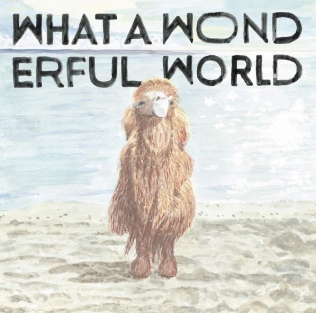 YASUYUKI HORIGOME - WHAT A WONDERFUL WORLD (LIMITED) - LP Vinyl