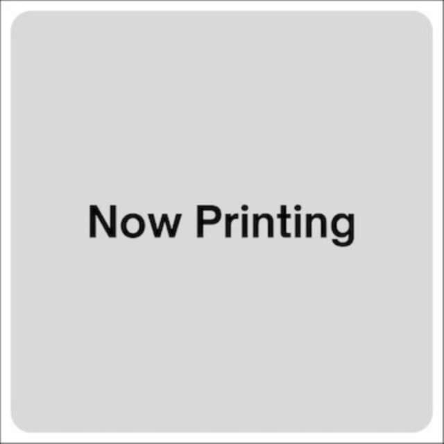(PRE-ORDER) VARIOUS ARTISTS - ANNE OF GREEN GABLES: THEME SONGS & BGM BEST SELECTION (50TH ANNI - LP Vinyl