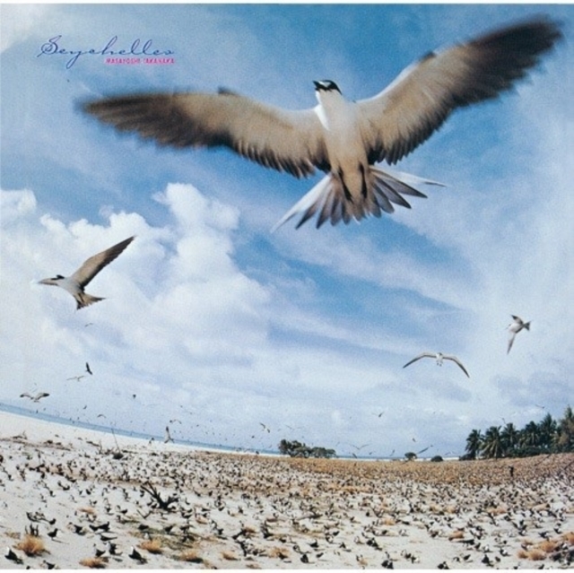 (PRE-ORDER) MASAYOSHI TAKANAKA - SEYCHELLES (CLEAR SKY BLUE VINYL/180G) - LP Vinyl