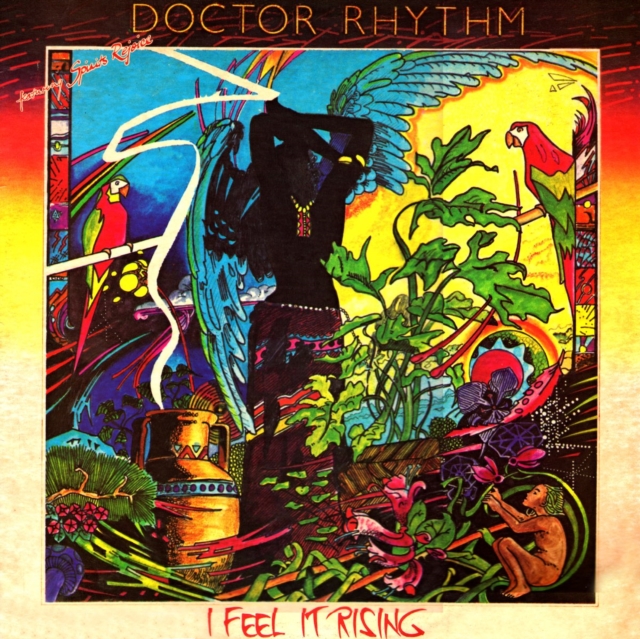 (PRE-ORDER) DOCTOR RHYTHM - I FEEL IT RISING - LP Vinyl