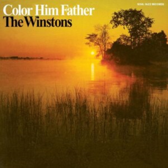 WINSTONS - COLOR HIM FATHER - LP Vinyl