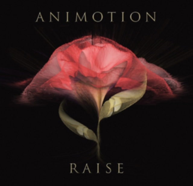 ANIMOTION - RAISE YOUR EXPECTATIONS - LP Vinyl