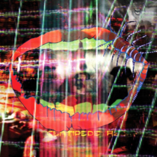 ANIMAL COLLECTIVE - CENTIPEDE HZ - LP Vinyl