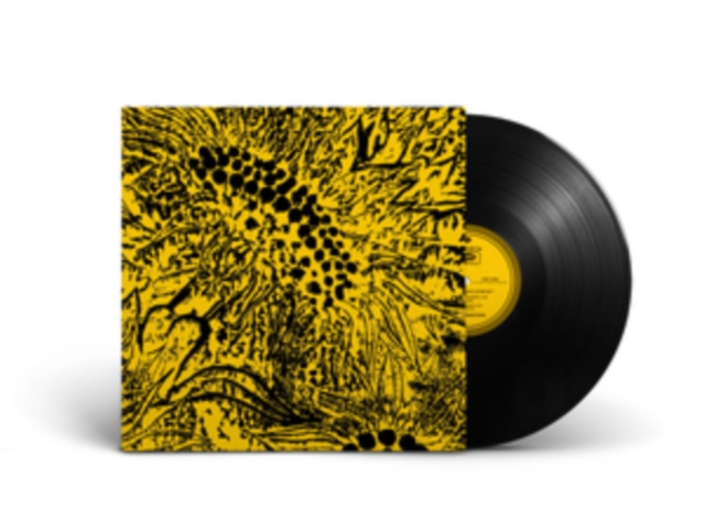 5036468001247-2.jpg AMANDA WHITING - LITTLE SUNFLOWER - 10 Inch Vinyl