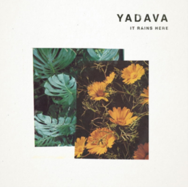 YADAVA - IT RAINS HERE (2-12 INCH) - 12 Inch vinyl