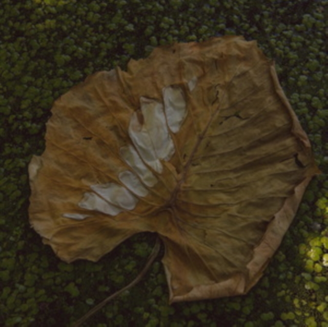 ADELA MEDE - NE LEPJ A VIRAGRA - LP Vinyl