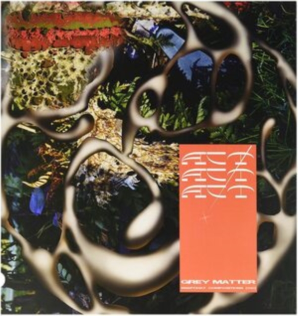 ACT! - GREY MATTER AR SNAPCHAT COMPOSITIONS - LP Vinyl