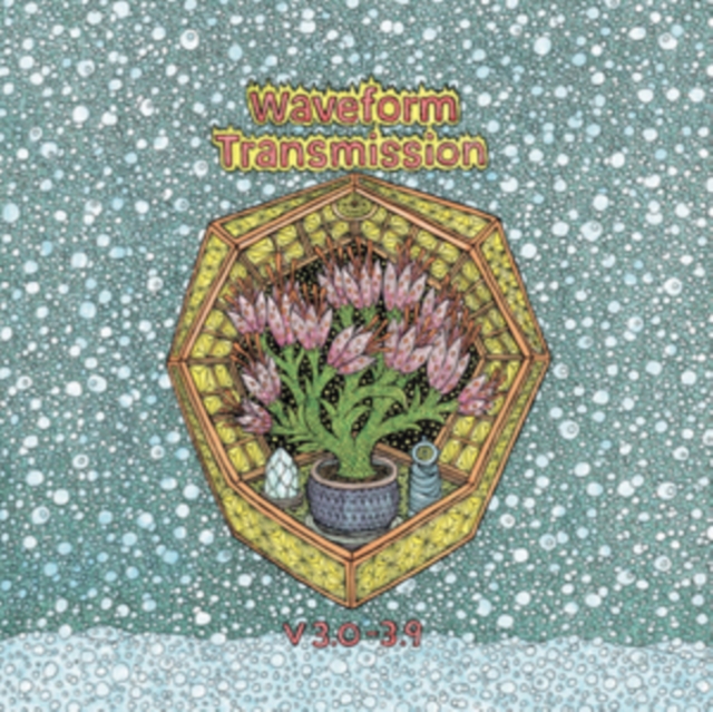 WAVEFORM TRANSMISSION - V 3.0-3.9 - LP Vinyl