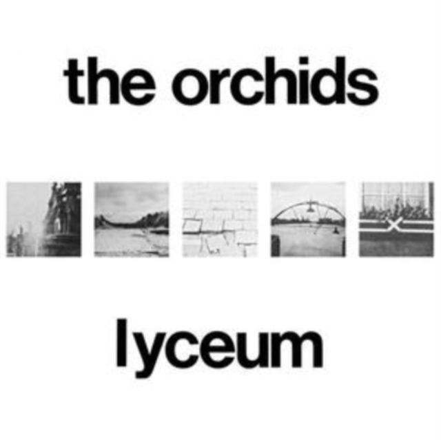 (PRE-ORDER) ORCHIDS - LYCEUM (2LP) - LP Vinyl