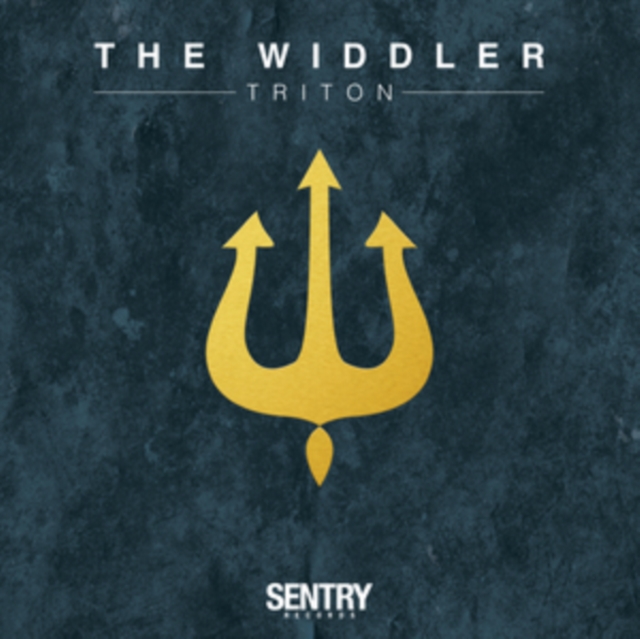 5051142067203.jpg WIDDLER - TRITON - LP Vinyl