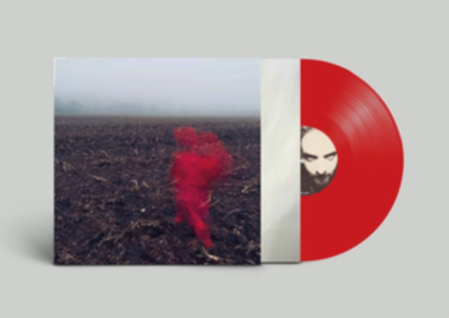 WILL VARLEY - HOLE AROUND MY HEAD - LP Vinyl