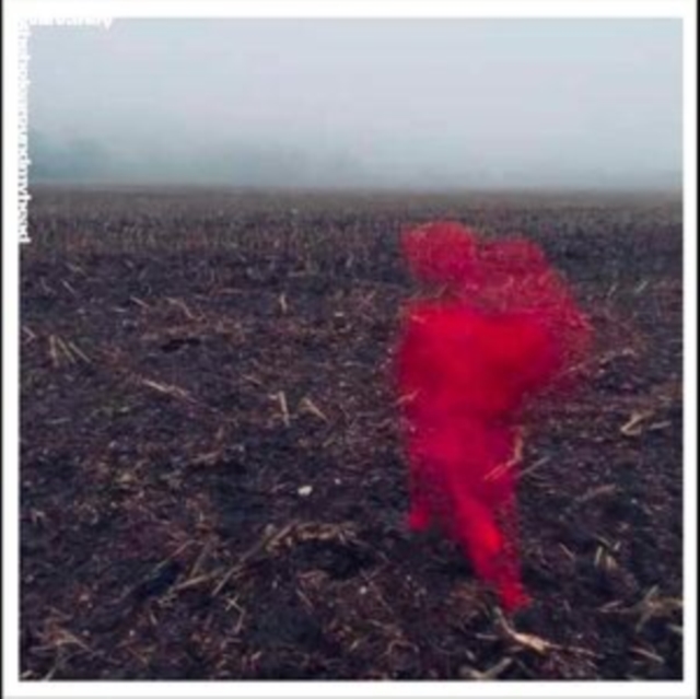 WILL VARLEY - HOLE AROUND MY HEAD (TRANSPARANT VINYL) - LP Vinyl