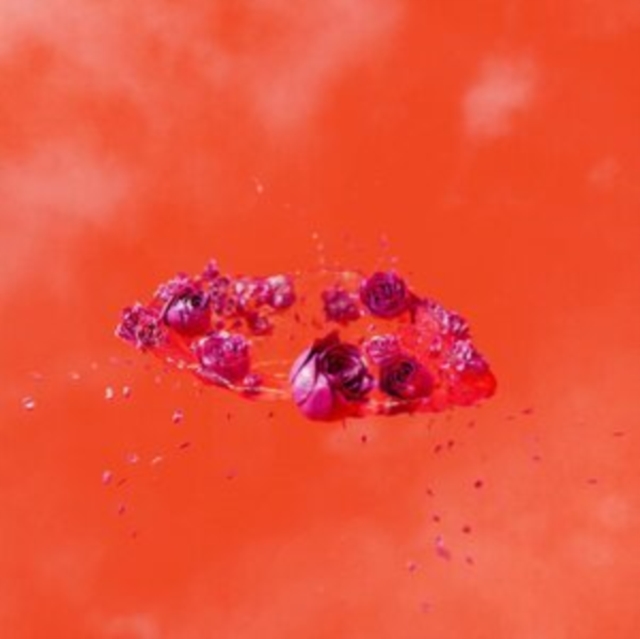 AMI DANG - LIVING WORLDS DEMANDS - LP Vinyl