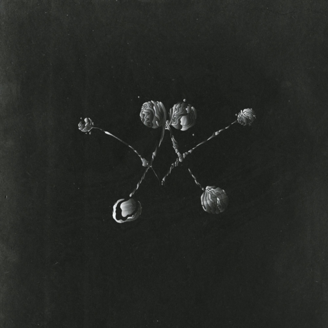 WATERSTRIDER - NOWHERE NOW - LP Vinyl