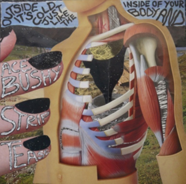 ACE BUSHY STRIPTEASE - OUTSIDE IT'S COLD JUST LIKE - LP Vinyl