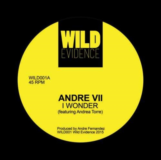 ANDRE 7 - I WONDER - 12 Inch vinyl