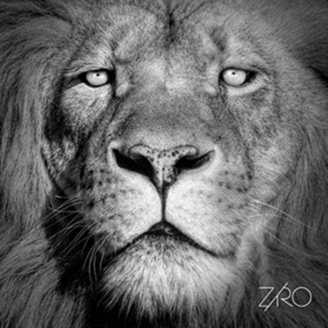 ZIRO - LIONHEART - 12 Inch vinyl