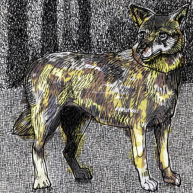 VEGYN - JANHUI - 12 Inch vinyl