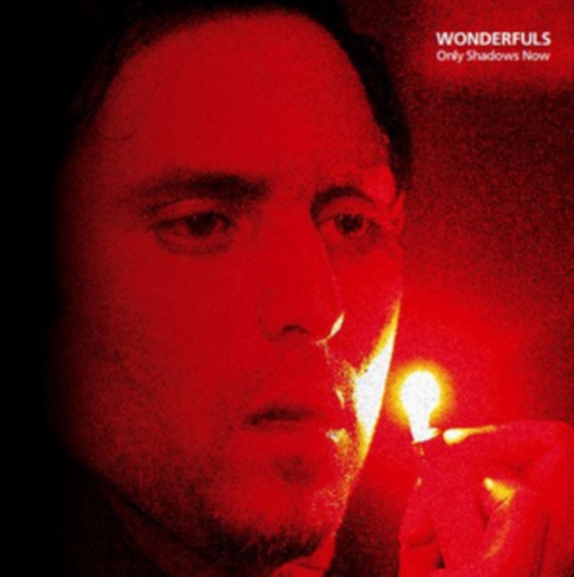 WONDERFULS - ONLY SHADOWS NOW - LP Vinyl