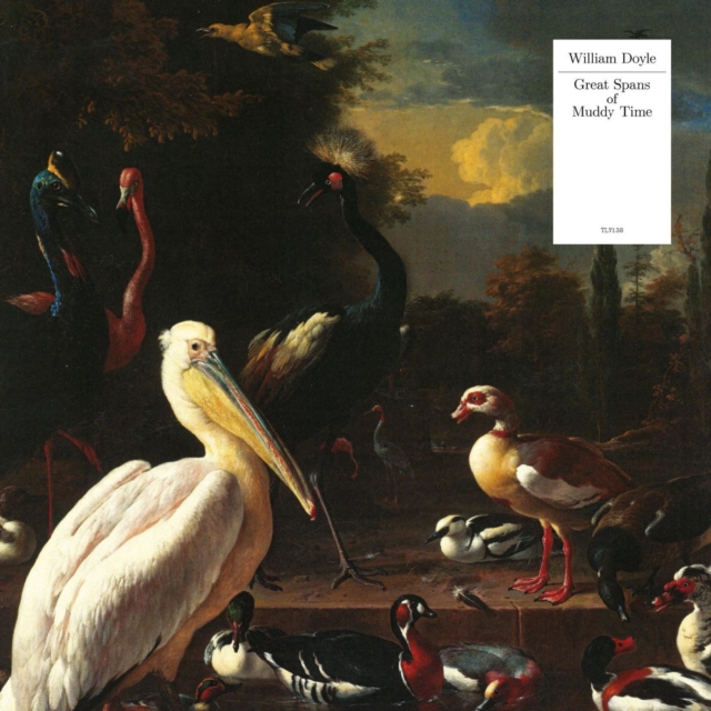 WILLIAM DOYLE - GREAT SPANS OF MUDDY TIME (WHITE VINYL) - LP Vinyl
