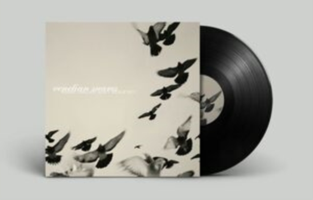 VENETIAN SNARES - ROSSZ CSILLAG ALATT SZULETETT (2LP) - LP Vinyl