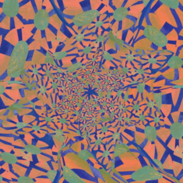 WILL HOFBAUER - SHOVEL IS A SHOVEL WAS A SHOVEL - 12 Inch vinyl