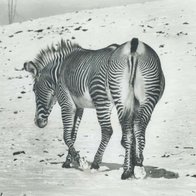 ANDY STOTT - IT SHOULD BE US - 12 Inch vinyl