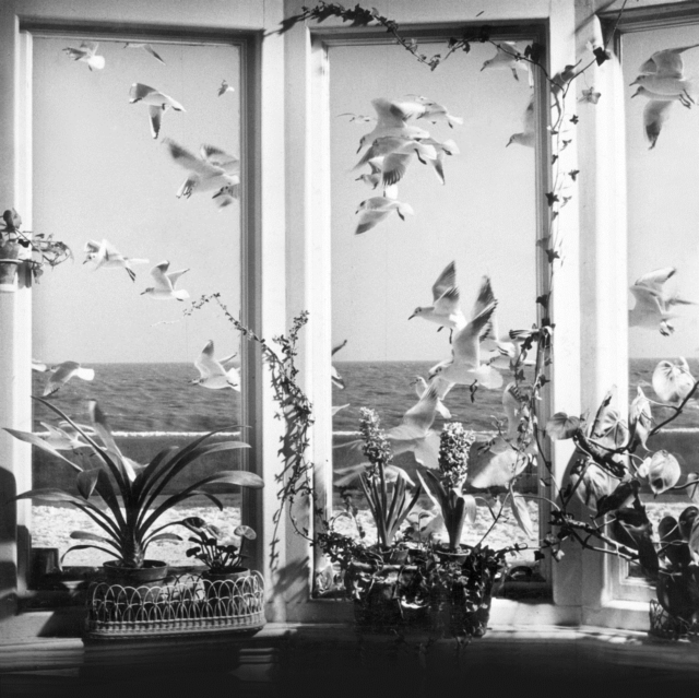 ANDY STOTT - NEVER THE RIGHT TIME (2LP) - LP Vinyl