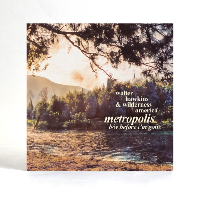 WALTER HAWKINS - METROPOLIS - 7 inch Vinyl